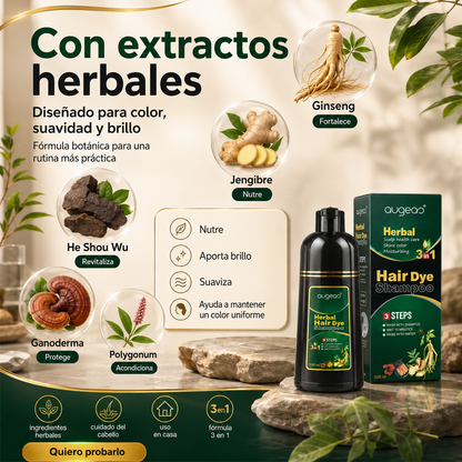 Hair Dye Herbal Shampoo - Anti Canas  👵🏻➡️👧🏻✨