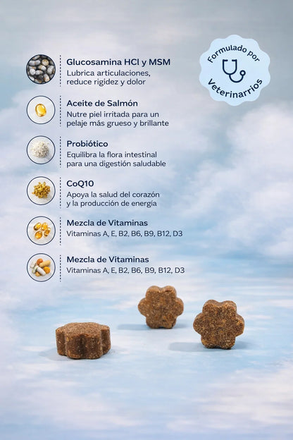 Dog is Human Probiótico Multivitamínico Premium - Mejora el Sistema Inmunológico 🦠☠️🐶