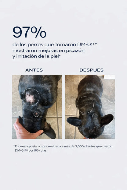 Dog is Human Probiótico Multivitamínico Premium - Mejora el Sistema Inmunológico 🦠☠️🐶